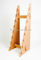 Нестандартная конструкция простой твердой деревянной выставочной витрины 8 частей стеллажа для выставки товаров скейтборда поставщик